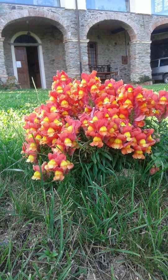 Antico Convento Bed & Breakfast Garessio Luaran gambar